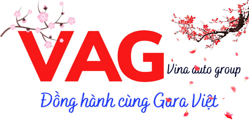Logo vinaautogroup